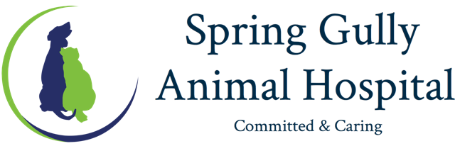Spring Gully Animal Hospital - Bendigo Veterinary Clinic