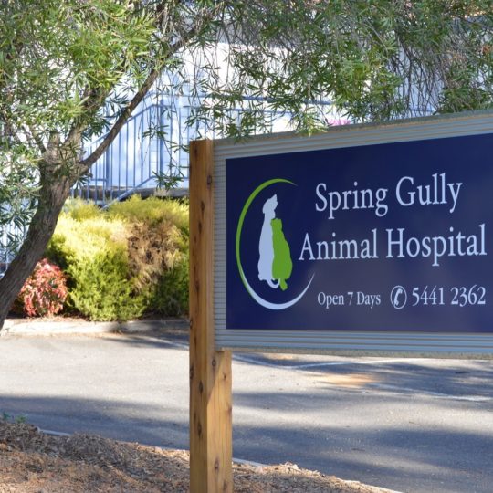 Spring Gully Animal Hospital Sign