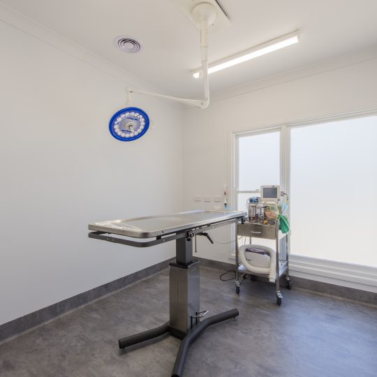 Spring Gully Animal Hospital - Surgical Facilities