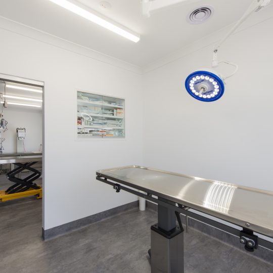 Clean & Modern Veterinary Surgical Facilities in Bendigo
