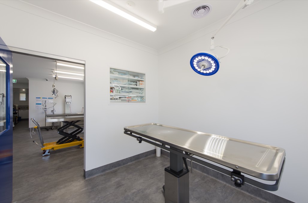 Clean & Modern Veterinary Surgical Facilities in Bendigo