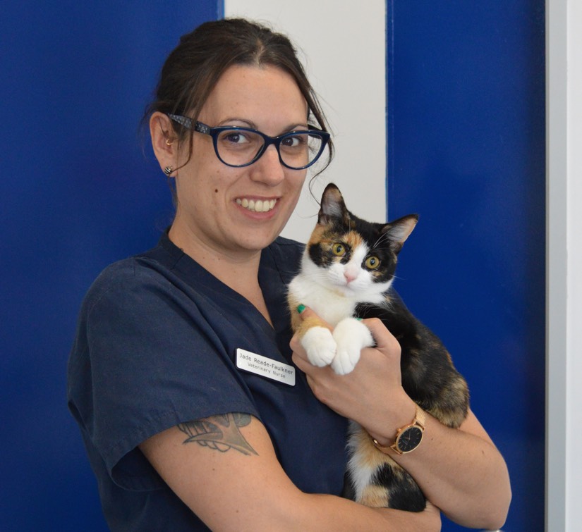 Jade - Veterinary Nurse at Spring Gully Animal Hospital Bendigo